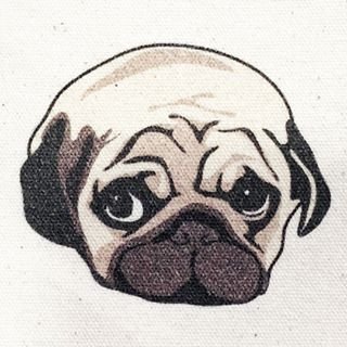 pugstyle41 Profile Picture