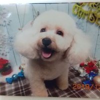 片倉典朗 (@qczbl0cnloidqz4) 's Twitter Profile