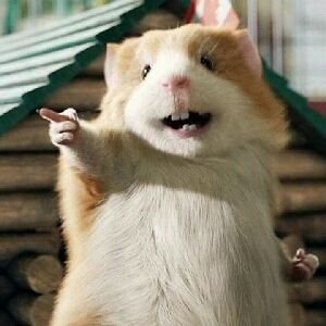 uzzTNqBUGOtvRKJ's profile picture. Fans of UAV
无人机爱好者