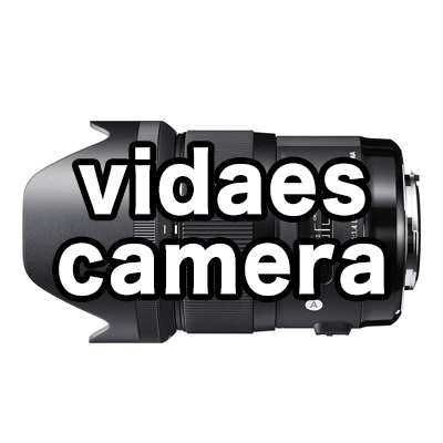 vidaes camera