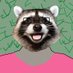 Trash Panda Rec (@trashpandarec) Twitter profile photo