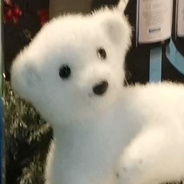 June96645586's profile picture. Hong Kong People chinese中國香港人🇨🇳🇨🇳🇭🇰