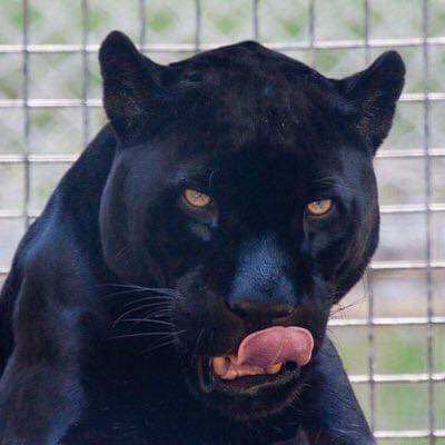 bakedrisk's profile picture. You found me