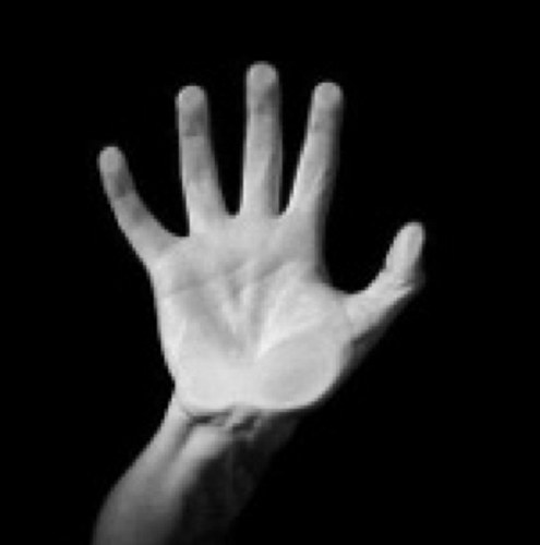 TSRep13's profile picture. 