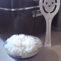 だいん (@quar_tiere) 's Twitter Profile