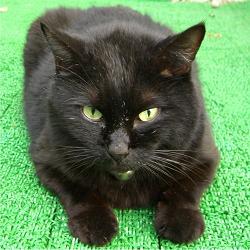 miyake23's profile picture. 最近、Twitterはあまり見みれてないなぁ…