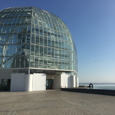 bluegre82153436's profile picture. 日々のいろいろ&勉強アカ。業務でVBA使用中。RPAも。