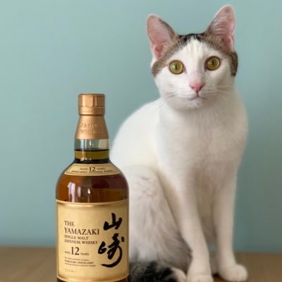 ウイスキーと猫が好き🐈🥃 ウイスキー沼の住民です。（ウイスキー歴2年程度のひよっ子です）ウイスキーの諸先輩方どうぞよろしくお願いします。サッカーはマンチェスターユナイテッドサポです🟥