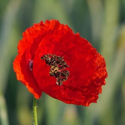 Sun_Toola's profile picture. Compras Online. Informática. Productos de belleza. Joyería y Bisutería. Complementos de moda. Cursos online. Cursos de fotografía. Cursos de idiomas. Emprender.