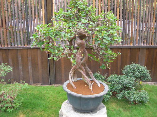 CANDY80118's profile picture. best way to lose weight
Taiwanese cuisine
Taiwan's delicacies