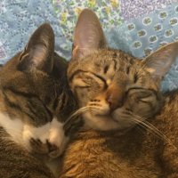 kurara (@kuraralift) Twitter profile photo