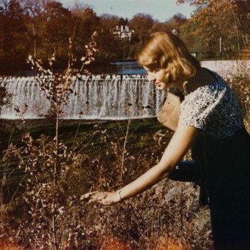 Sylvia Plath Society 
https://t.co/7MrclmFT20 | plathsoc@gmail.com | Insta: @Plath_Society |
Newsletter: https://t.co/lrvvyvvCYR