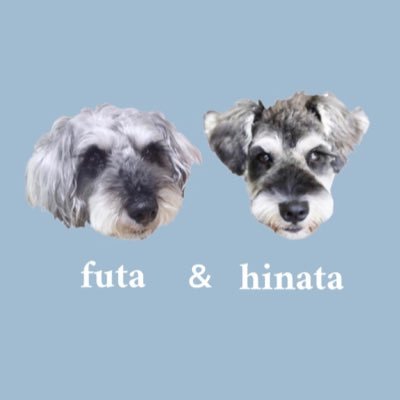 まるも Futatohinata Twitter