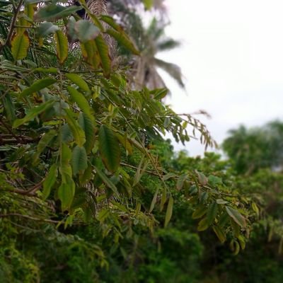 Amadobenteh's profile picture. be kind and be grateful and thanking giving the god