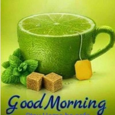 SKSingh34537535's profile picture. A firm believer in Life