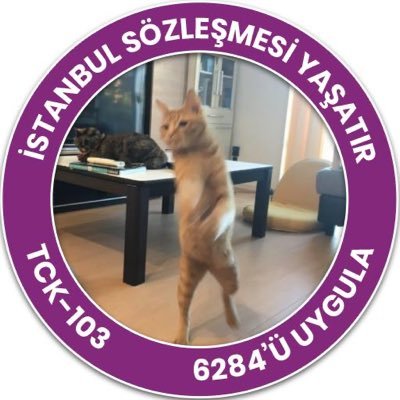 castellandum12's profile picture. TCHR (#mathematician), PhD student (#englishliterature), thinker, amazon-like & against any kind of religion🐾🌈🦄, (#linguistics), ahlakçılık⛔️