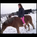 Abbie Price - @Abbiebieber96 - Twitter