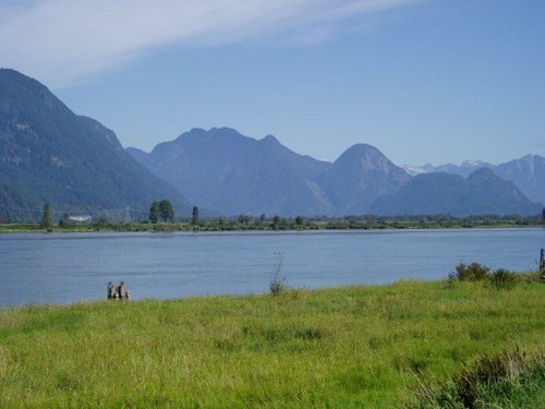 NDP activists from the former federal riding of Dewdney-Alouette(Pitt Meadows-Maple Ridge-Mission) on the unceded territory of the Katzie and Kwantlen.