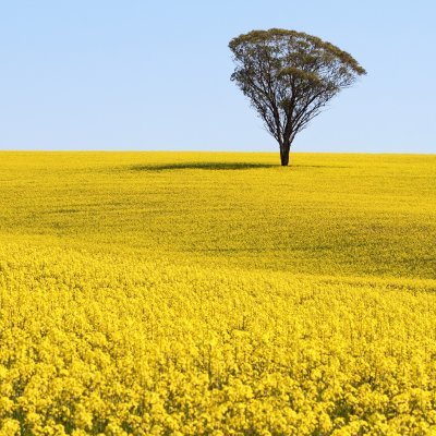 IT professional,  #asx trader and learning about finance. #gold #silver #commodities #esg #ree #rareearths #climatechange