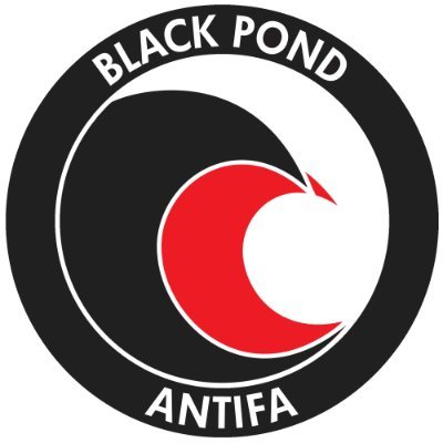 BlackPondAntifa Profile Picture