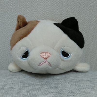 masaadin's profile picture. コーヒー☕は１日二杯まで