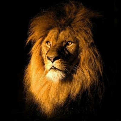 johnsmith44321's profile picture. j’adore Parler les Français et Espagnols.