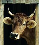 Weissenhorner's profile picture. 