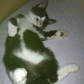 nagisa42926155's profile picture. 