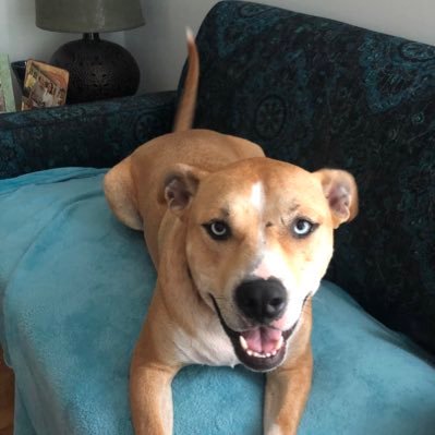 ms_lwynn's profile picture. 