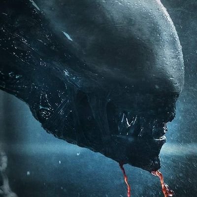 chilled333's profile picture. Old man Noob Video & boardgame gamer