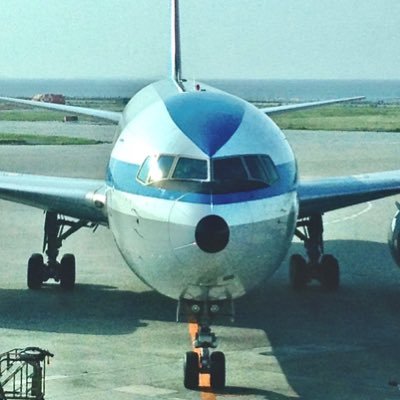 yossyB6's profile picture. JA602Aモヒちゃんを心から愛しています♡ モヒちゃんは私の心の中で永遠に飛び続けます ✈️💖UKB base