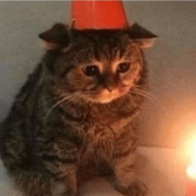 jebthedoggo's profile picture. 