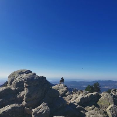 s24239's profile picture. 