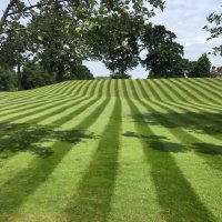 Simon lloyd (@gingergardener1) 's Twitter Profile Photo Simon lloyd (@gingergardener1) 's Twitter Profile Photo