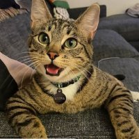 Laurent Stretter (@lstretter) 's Twitter Profile