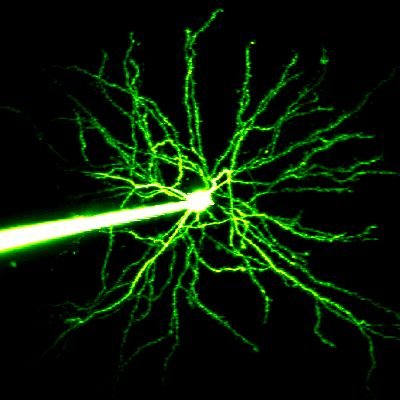 HB lab🔬⚡🧠🌏🌍 Profile