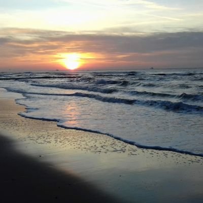 marcelisvisser1's profile picture. 