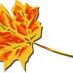 Dorking Mums (@dorkingmums) Twitter profile photo