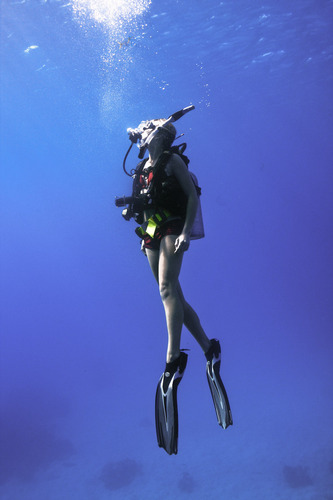 dive Cairns Australia's Great Barrier Reef provides exceptional conditions for scuba diving - spend one or several nights on the reef