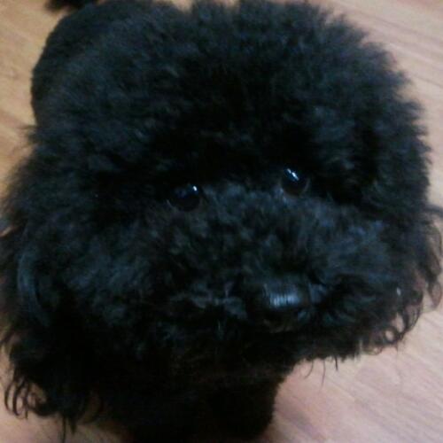 lizhen91's profile picture. 90后开头，非话捞。推的少，看的多。
数码控，P3耳机烧,Android党，伪宅，内向，闷骚。  带着耳塞，一个人走在路上，这就是我的世界。