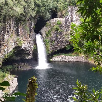 taziniou's profile picture. 