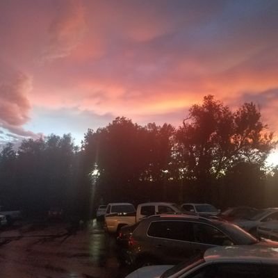 Dave38106255's profile picture. I rarely have anything witty enough to tweet. Don't mind me.