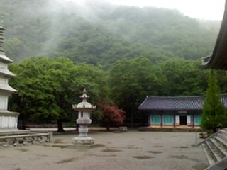 miwell7's profile picture. 꿈을 향하여