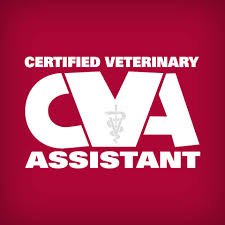 GRCTC_VetAssist's profile picture. Veterinary Assisting Students through Garland ISD