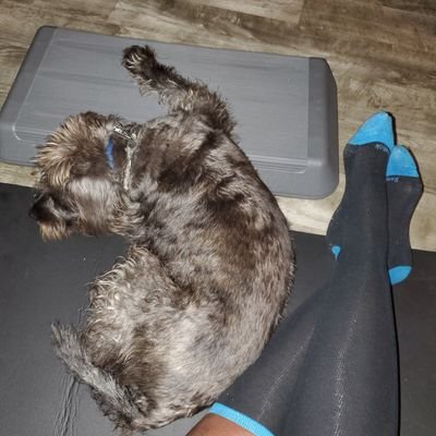 NateashaH's profile picture. Just keep moving!