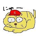 丸猫さんのプロフィール画像