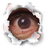 legsworld's profile image