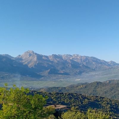 MAMMERINouredd3's profile picture. difficult to describe myself in a few words so i would say i am simple to live