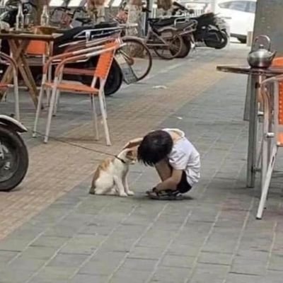 gsmellbanana's profile picture. 