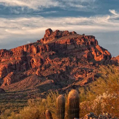 BlazingArizona's profile picture. 